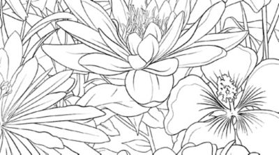 coloring book 3_d free printable pages