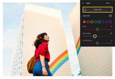 颜色混合在颜色面板上突出显示，饱和度设置为 -20。