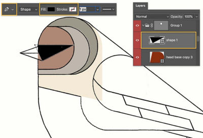 顶部工具栏中的钢笔、填充和描边工具高亮显示。 鸟头上显示一个黑色三角形。 在图层面板中，这个标记为“形状 1”的形状被突出显示。