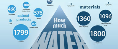 How to Design a Data Visualization Poster