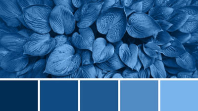 Louis Blue MV Color Palette