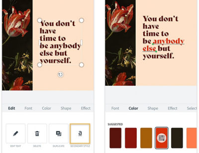 Text Editor Quotes How To Customize Blockquotes Style In WordPress
